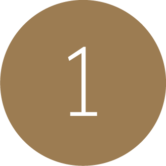 gswt-icon1