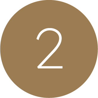 gswt-icon2
