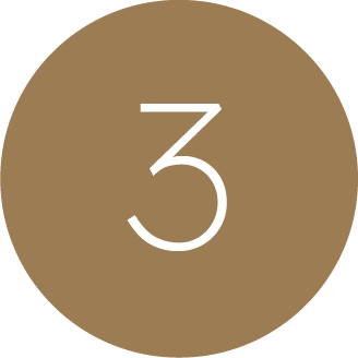 gswt-icon3